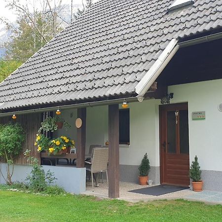 Apartment Sonce Bohinj Eksteriør billede