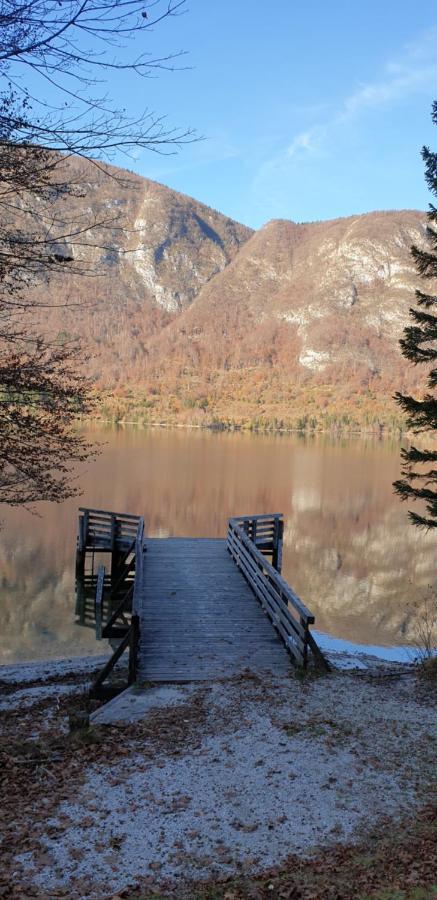 Apartment Sonce Bohinj Eksteriør billede