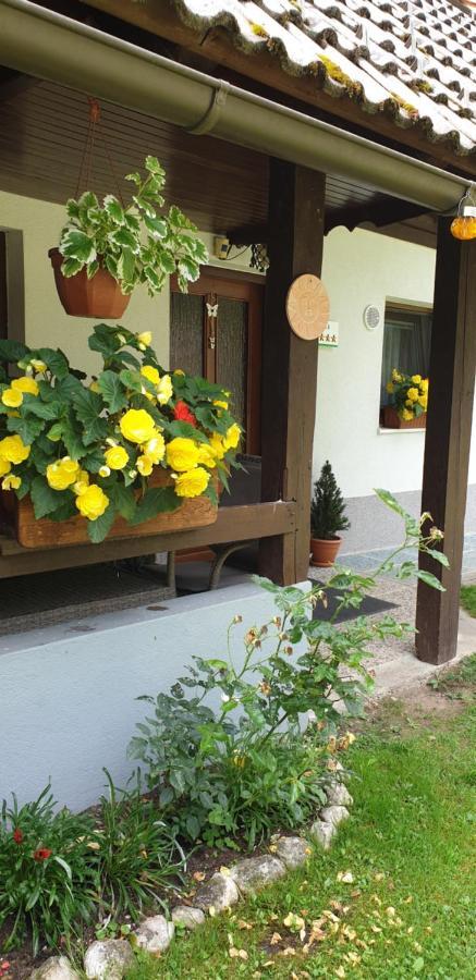 Apartment Sonce Bohinj Eksteriør billede