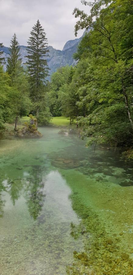 Apartment Sonce Bohinj Eksteriør billede