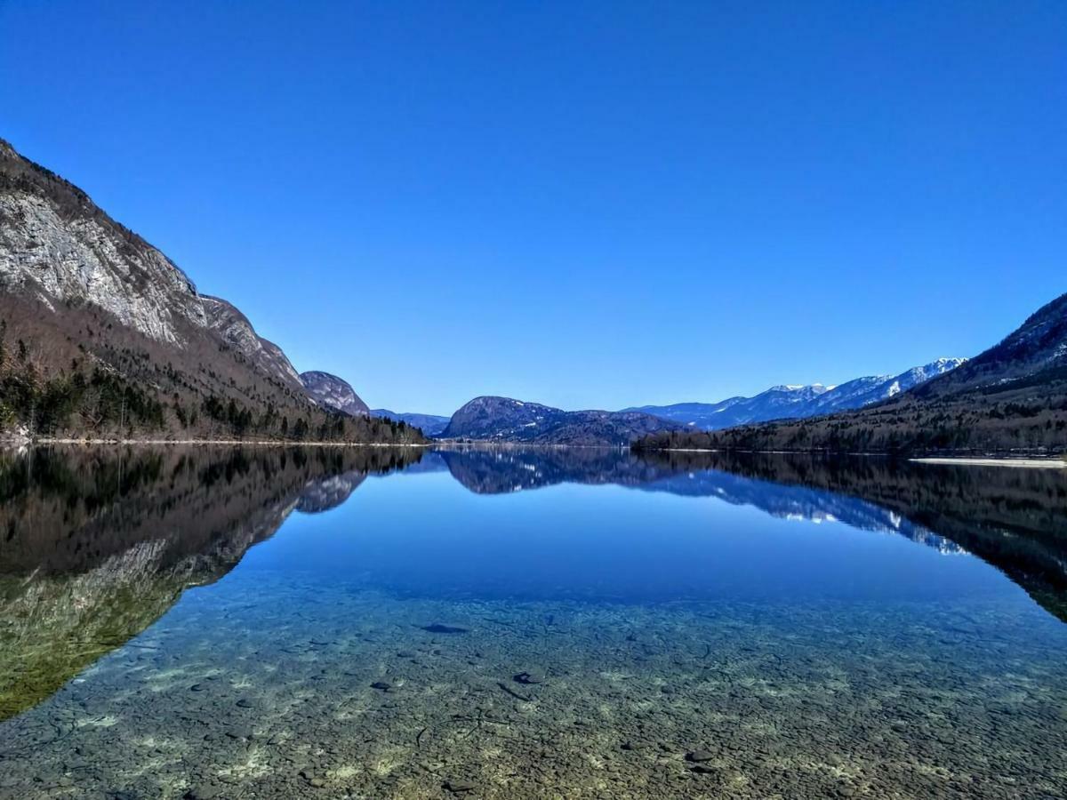 Apartment Sonce Bohinj Eksteriør billede